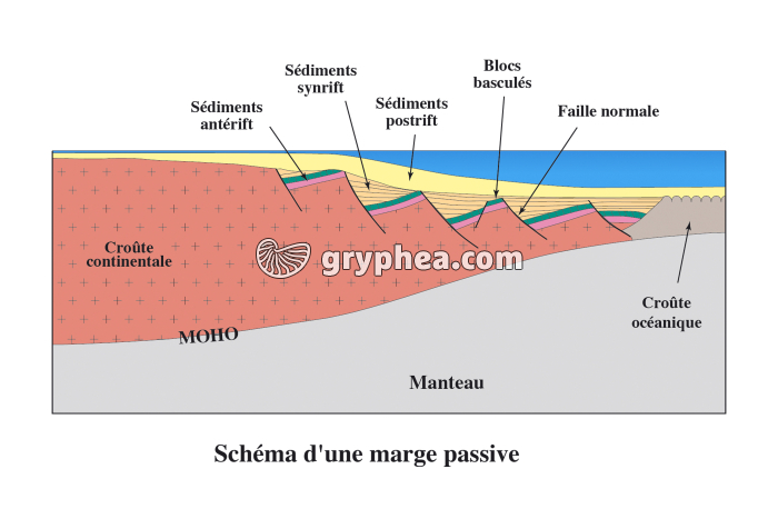 Marge passive - schéma - infographie - gryphea.com
